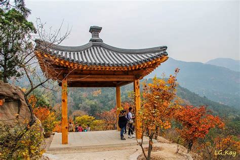 Fragrant Hills Park Xiangshan Gongyuan P Kin Ce Qu Il Faut