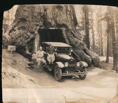 Men W Car At Wawona Tree Tunnel Yosemite National Park Yosemite Valley