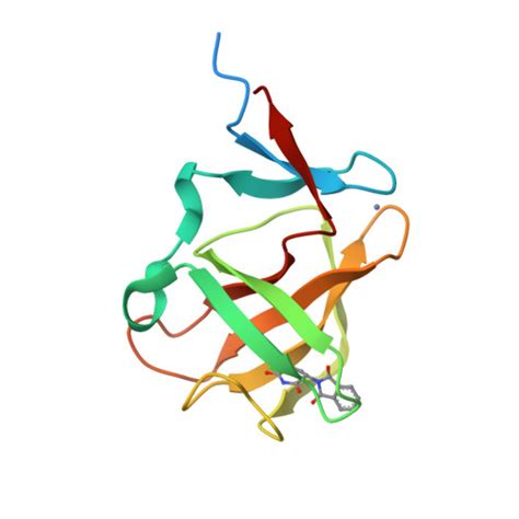 Rcsb Pdb 8bc7 Cereblon Isoform 4 From Magnetospirillum