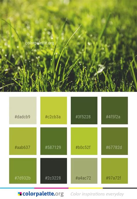 Green Grass Vegetation Color Palette | colorpalette.org