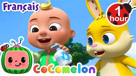 CoComelon en Français Youtube Kids