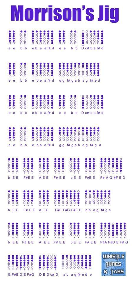 Morrisons Jig Tin Whistle Whistle Irish Flute
