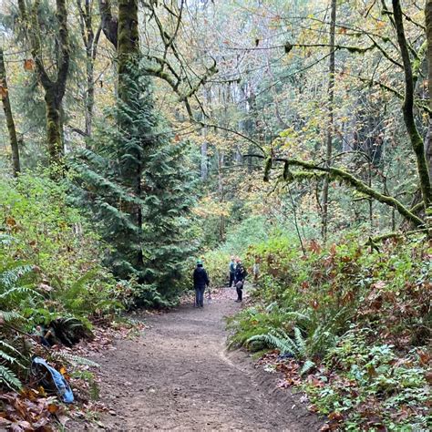 Kopachuck State Park Washington State Parks