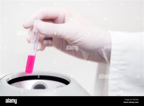 Close Up Scientist Putting Test Tube Into Centrifuge Stock Photo Alamy