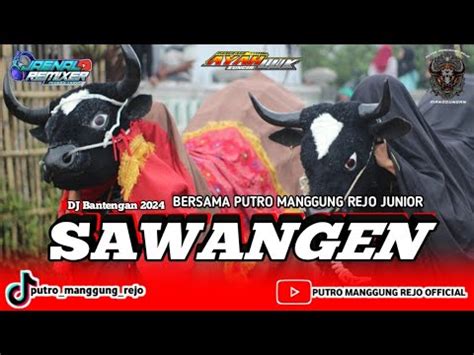 Dj Bantengan Putro Manggung Rejo Sawangen Remixerby Jainal