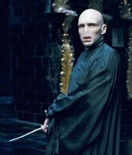 Harry Potter And The Blog Character Profiles Lord Voldemort