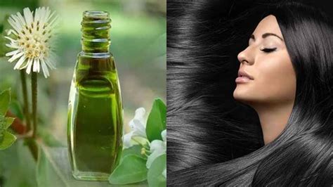 Hair Care Try Bringaraj Oil These Way To Get Long Hair Hair Care മുടി തഴച്ച് വളരം വേണ്ടത് ഈ