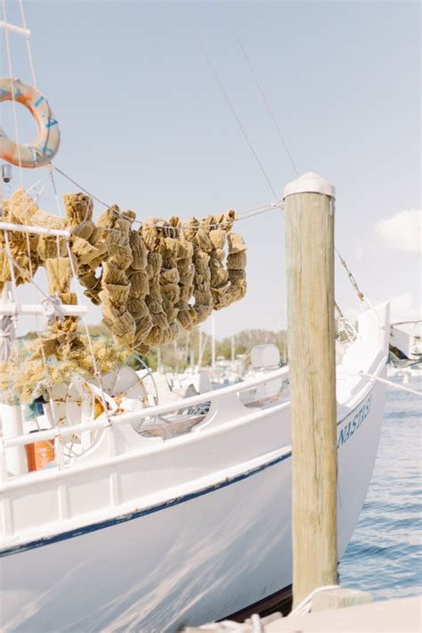 Tarpon Springs Sponge Docks | Sara Magnolia