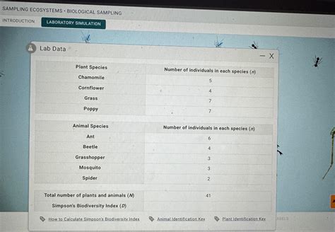 Solved Sampling Ecosystems Biological Chegg