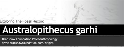 Australopithecus garhi