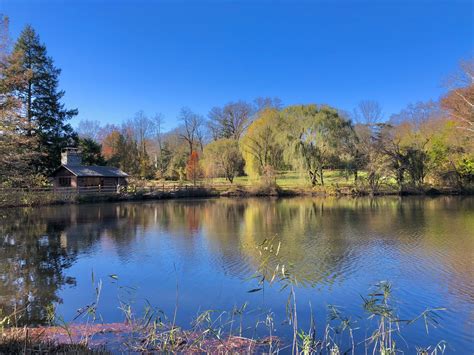 The Ultimate Guide To Haverford College Arboretum Verdant Adventures