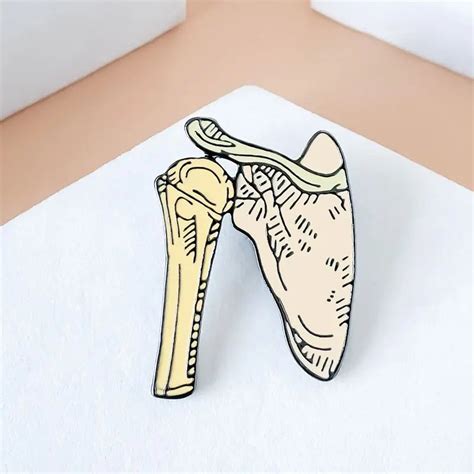 Body Skeleton Humerus And Scapula Enamel Pin Distinct Pins