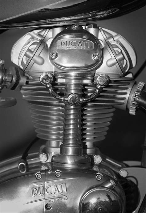 Pin By Dave Peterson On Custom Bikes In 2024 Ducati Classic