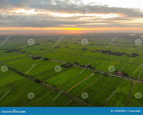 Aerial View of Sunrise Over the Green Paddy Field. Stock Image - Image ...