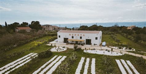 Degustazione Vini Siracusa A Partire Da 35 Freedome