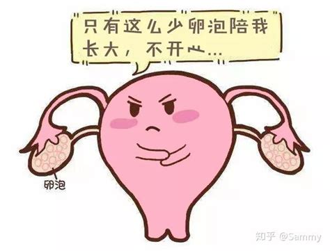 女人一生排多少个卵子？说说卵子的这些秘密 知乎