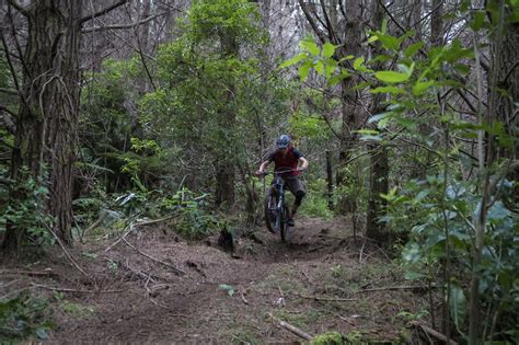 Radio Towers Mountain Biking Trail Warkworth