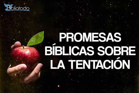 Vers Culos De La Biblia Sobre La Tentaci N