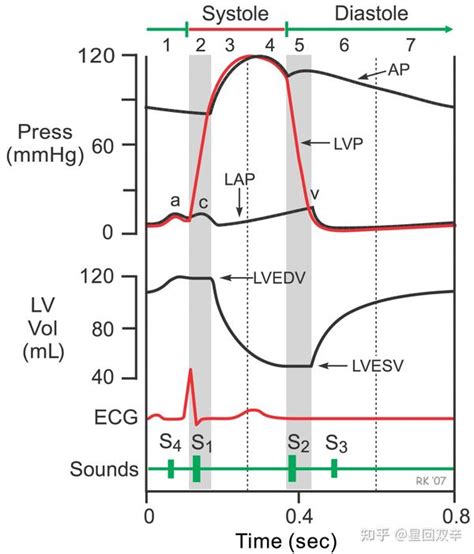 左心室压力 容积环Left ventricular pressure volume PV loops 知乎