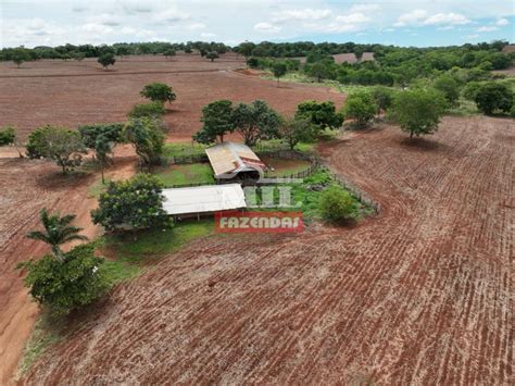 Mil Fazendas Fazenda 52 Alqueires 251 Hectares Silvania GO