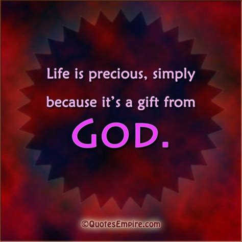 Life Is Precious Quotes Bible Walker Daly