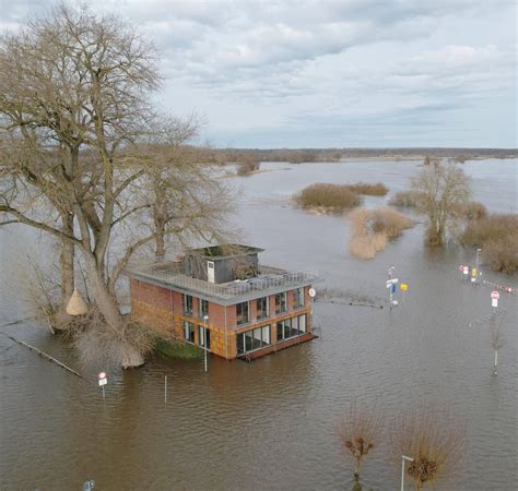 Hochwasser Haltestelle verlegt Lüneburg Aktuell