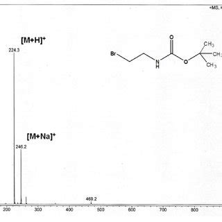 Figure S9 ESI MS Spectrum Of E Tert Butyl 2 4 3 4