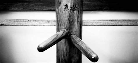 Mook Jong Wooden Dummy Nim Tao Wing Chun