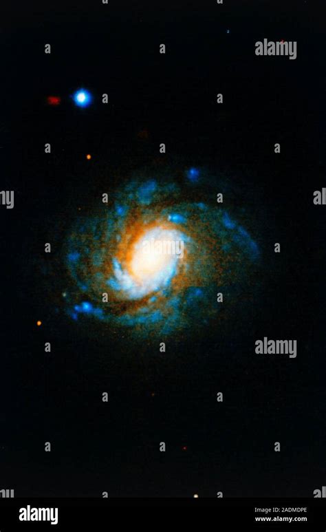 Image-processed optical photograph of the Seyfert type galaxy NGC 1068 ...