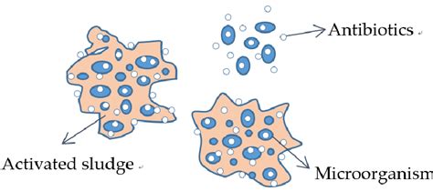 The main mechanism of action of antibiotic biological treatment ...