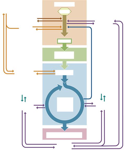 metabolism diagram Diagram | Quizlet