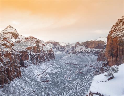 Why you definitely need to visit Zion National Park in Winter — Walk My ...