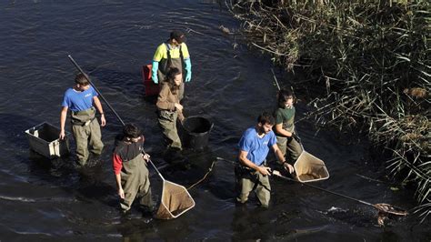 El Bajo Caudal Del R O Onyar A Su Paso Por Girona Obliga A Otra Jornada