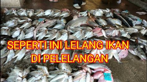 Seperti Ini Proses Lelang Ikan Di Pelelangan Ikan Youtube