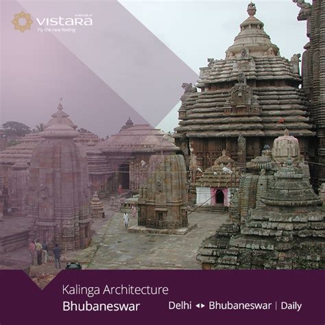 Air Vistara Bhubaneswar Buzz Bhubaneswar Buzz