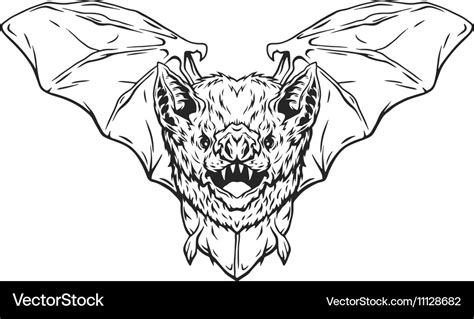 Vampire bat in flight Royalty Free Vector Image