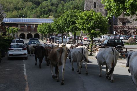 La Festa Della Transumanza A Santo Stefano D Aveto