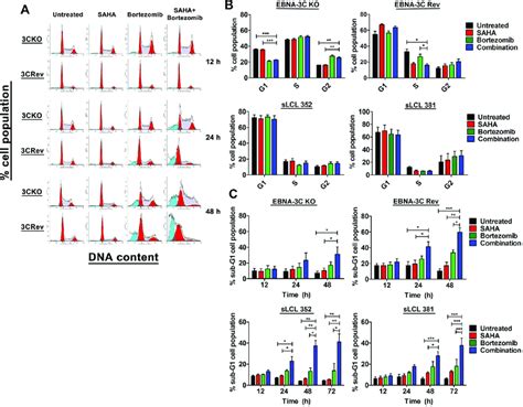 Effects Of Sahabortezomib On The Progression Of Cell Cycle And