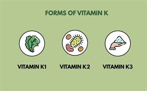 Vitamin K Essential For Blood Clotting And Bone Health