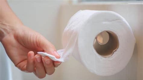 Papel Toallita H Meda O Agua Cu L Es La Mejor Manera De Limpiarse