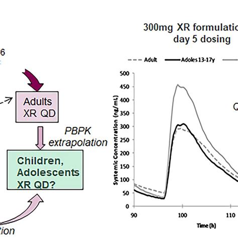 The Physiologicallybased Pharmacokinetic PBPK Modeling Approach Was