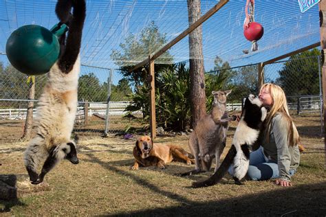 Head Bashing, Kill Shots: The Controversial Way Florida Researchers Are ...