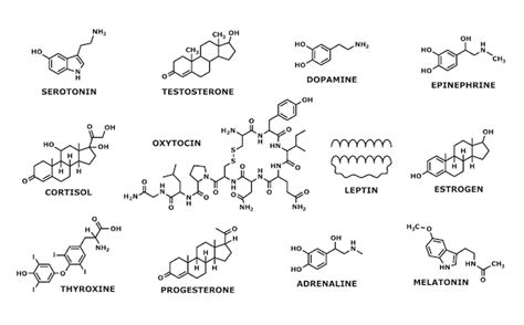 Símbolos de línea de estructura de fórmula molecular de hormonas