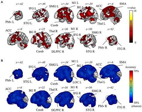 Frontiers Neural Representations For Multi Context Visuomotor