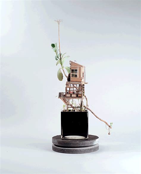 Tiny Treehouses In Houseplants Designs And Ideas On Dornob