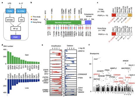 Nature Cancer Wgsrna Seqdna Seq Cn