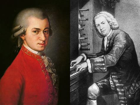 What Is The Difference Between Mozart And Bach Cmuse