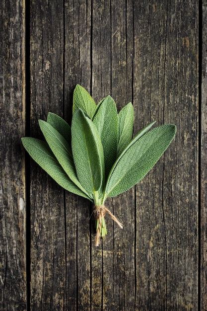 Premium Photo Salvia Officinalis Sage Leaves On Old Wooden Table