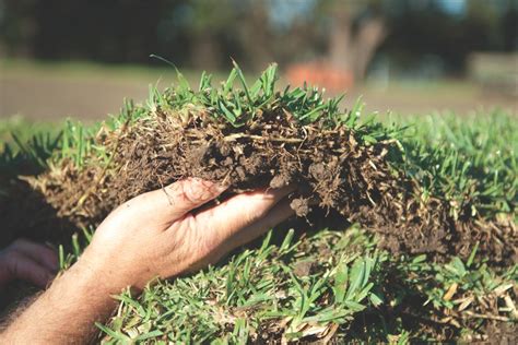 Tiftuf Bermuda Grass Greenway Turf