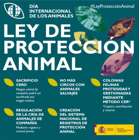 Nueva Ley de Protección y Derechos de los Animales Aon Seguro para